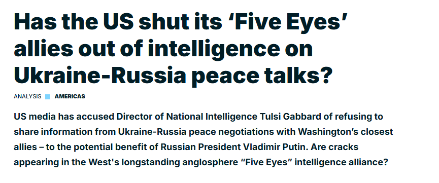 Dissident Wookie tweet media