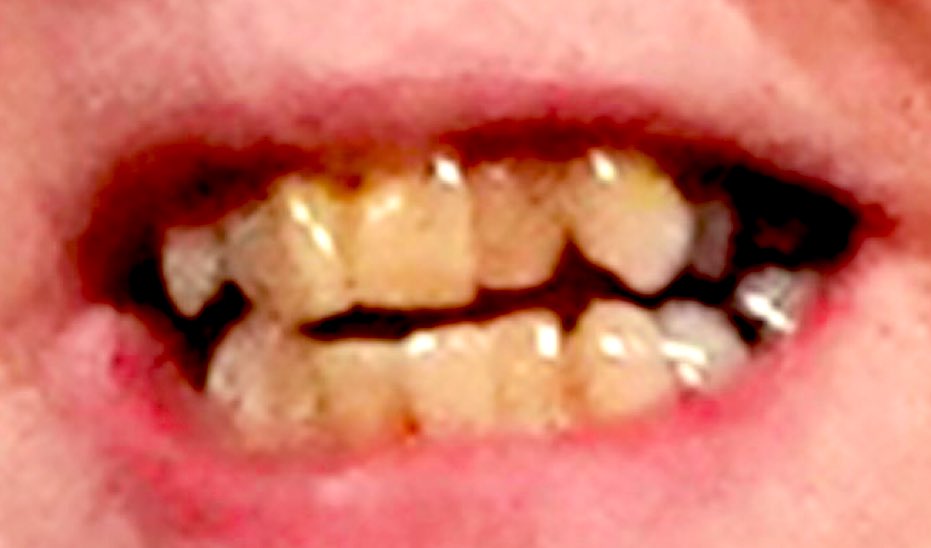 PNW Conservative tweet media