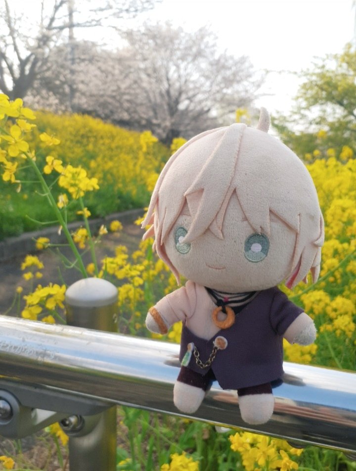 きのえさくら tweet media