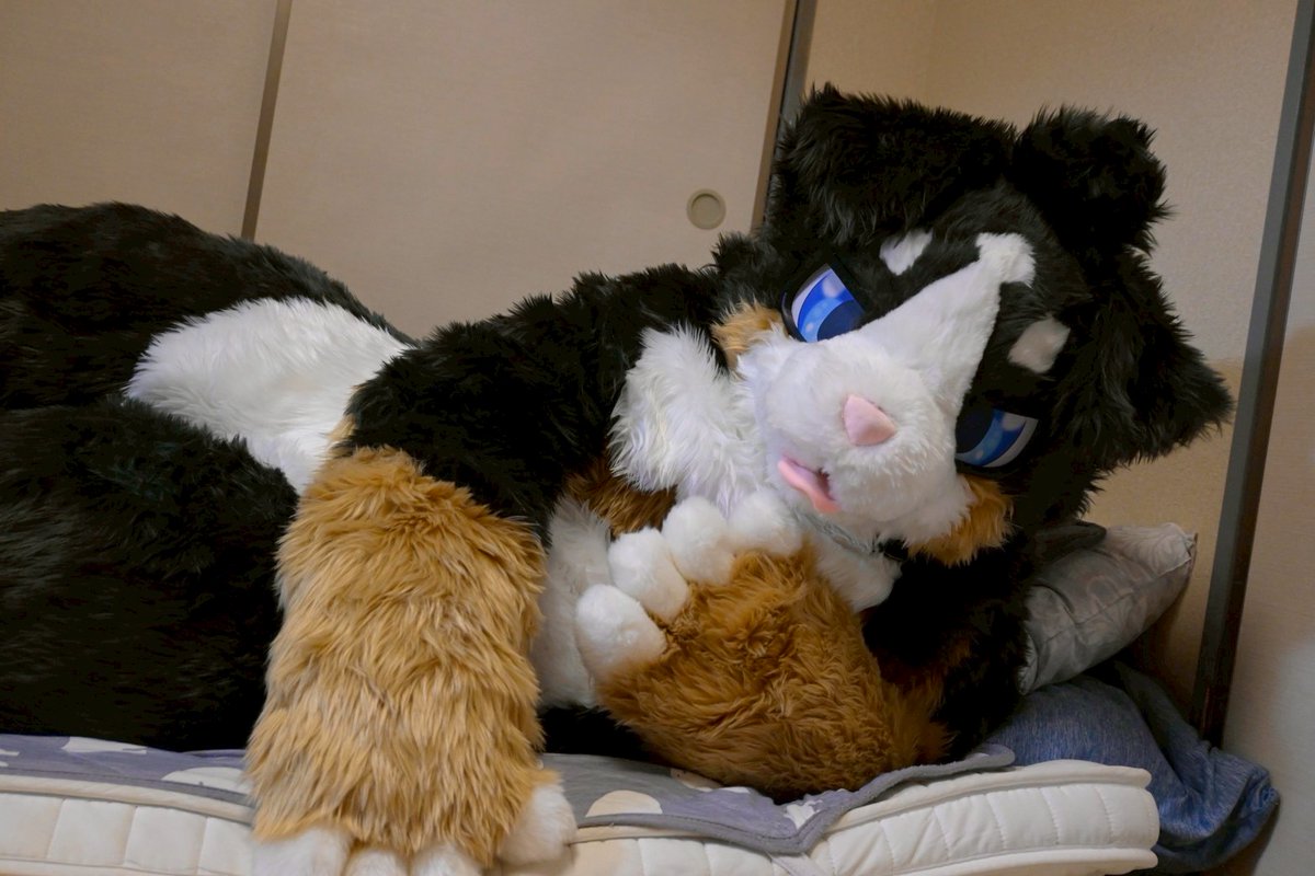 ででお tweet media