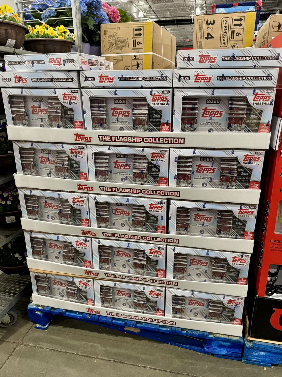 Trunk Of Cards tweet media