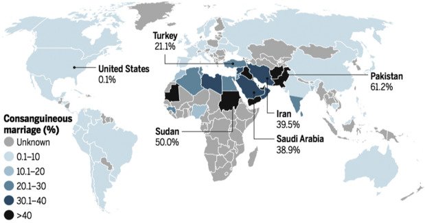 Ergon Demos tweet media