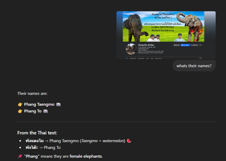 Dios.sol tweet media