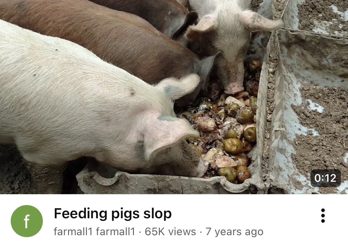 Dredgen Sale ⬛️⬜️🟪 tweet media