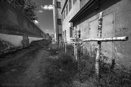 Józef Kasprowicz tweet media