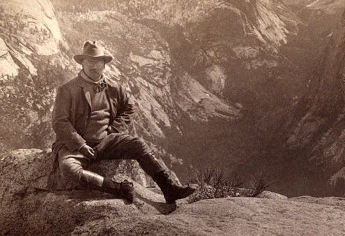 The Bull Moose Project tweet media