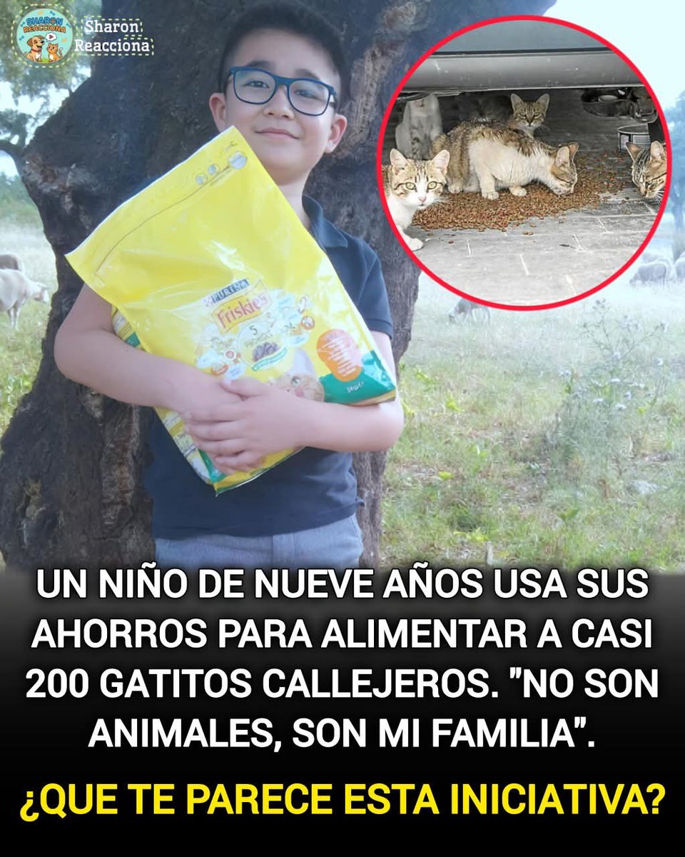 Manu Saenz💛💛 tweet media