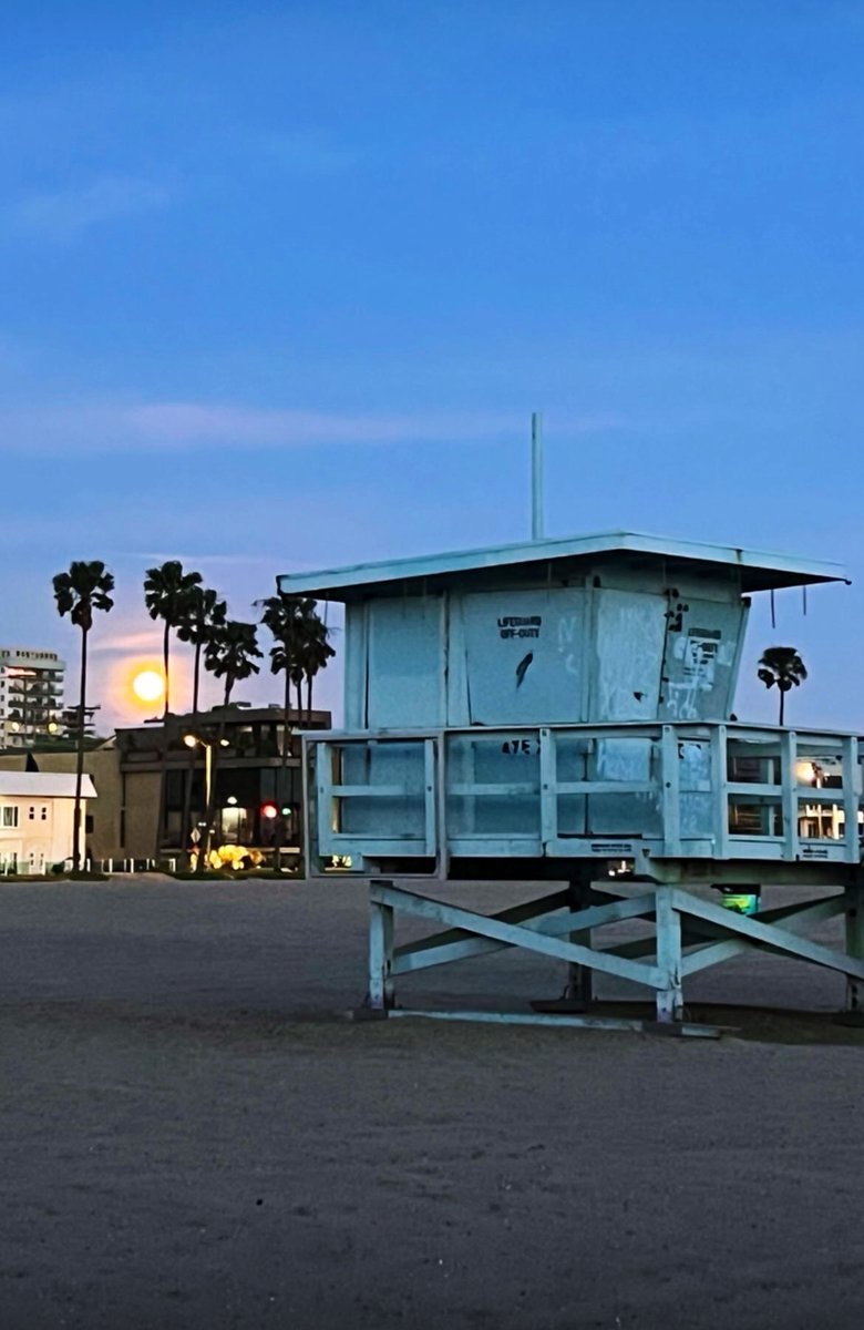 Ian Votteri tweet media