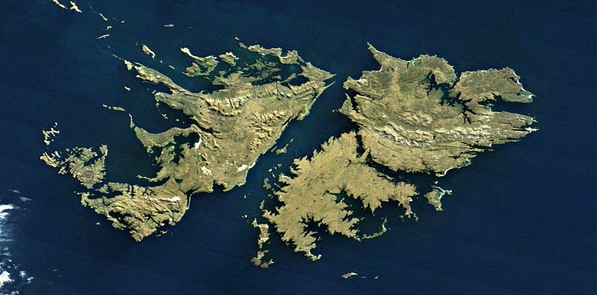 Yamandú Vitabar tweet media