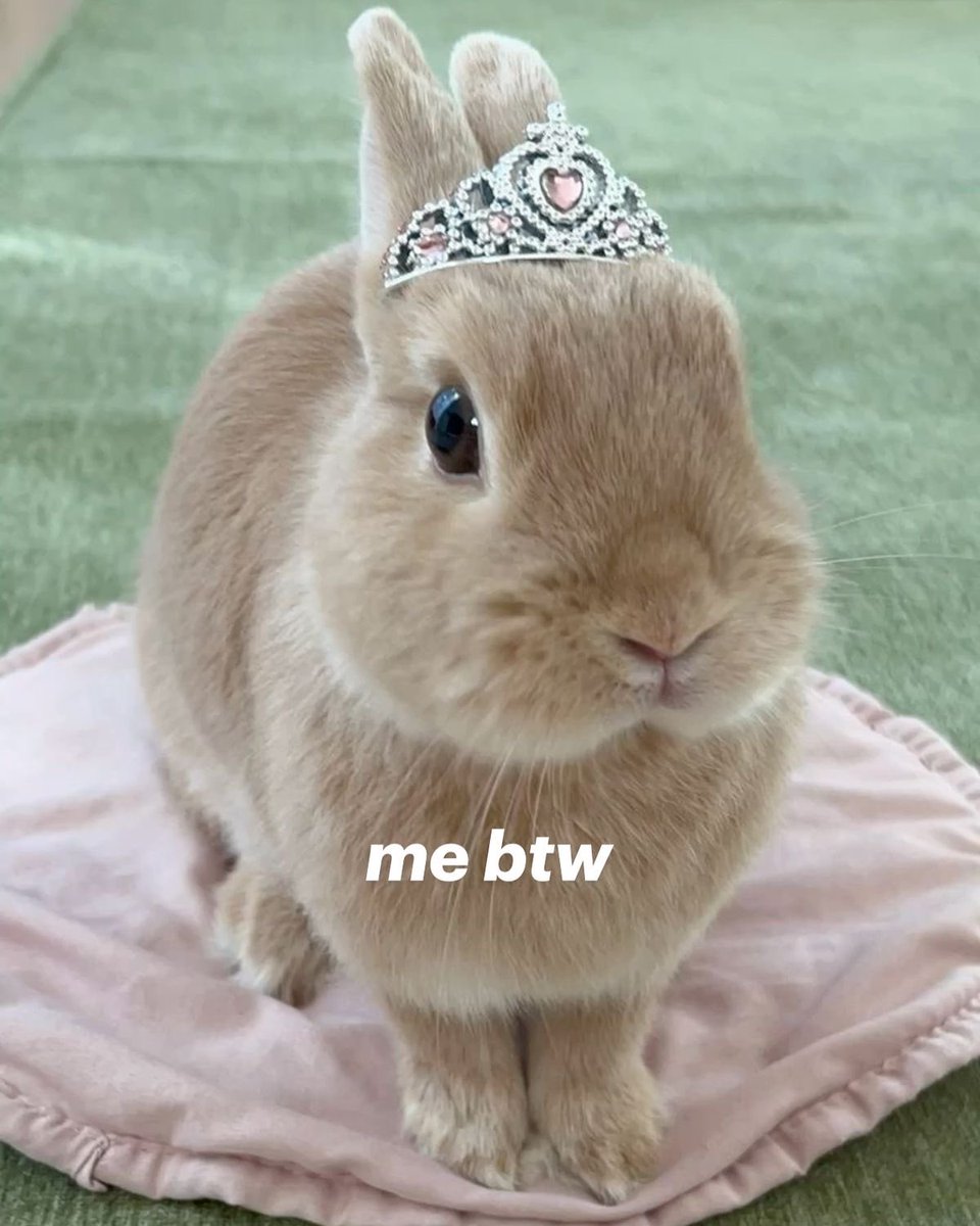 sofia ❤︎︎ tweet media