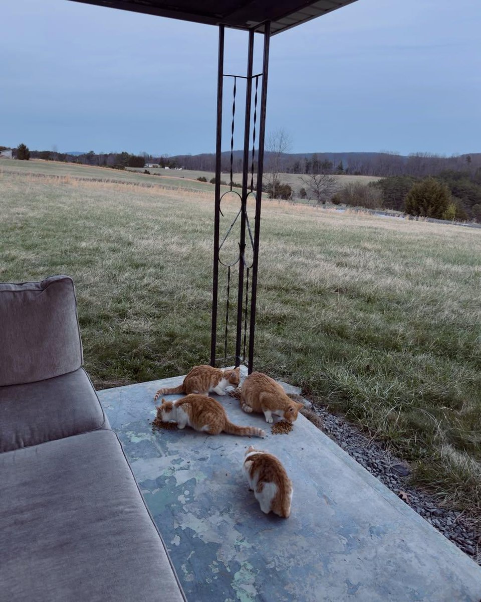 Sara Mary ⭐❤️ tweet media