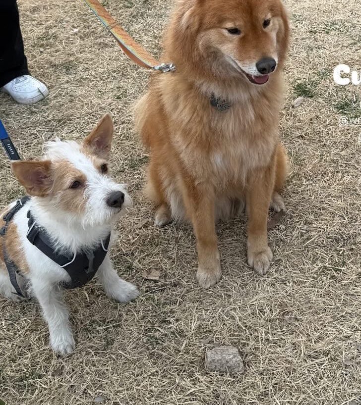 May🥇💰🌈 tweet media