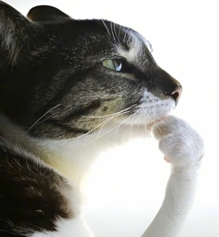 yorgungece tweet media