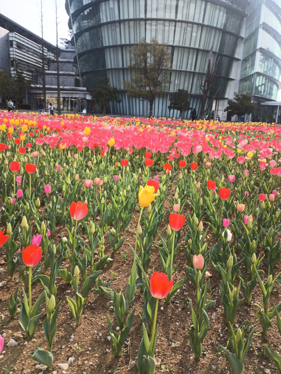 Earn.Learn.Invest tweet media