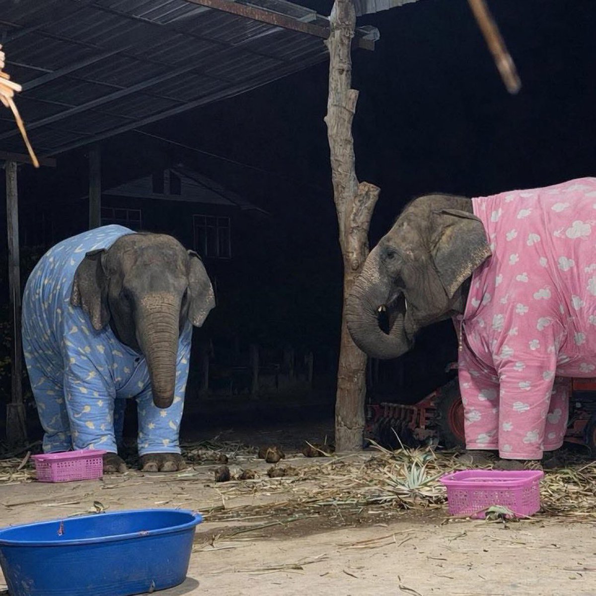 EUNSEOK 🪨 TH tweet media