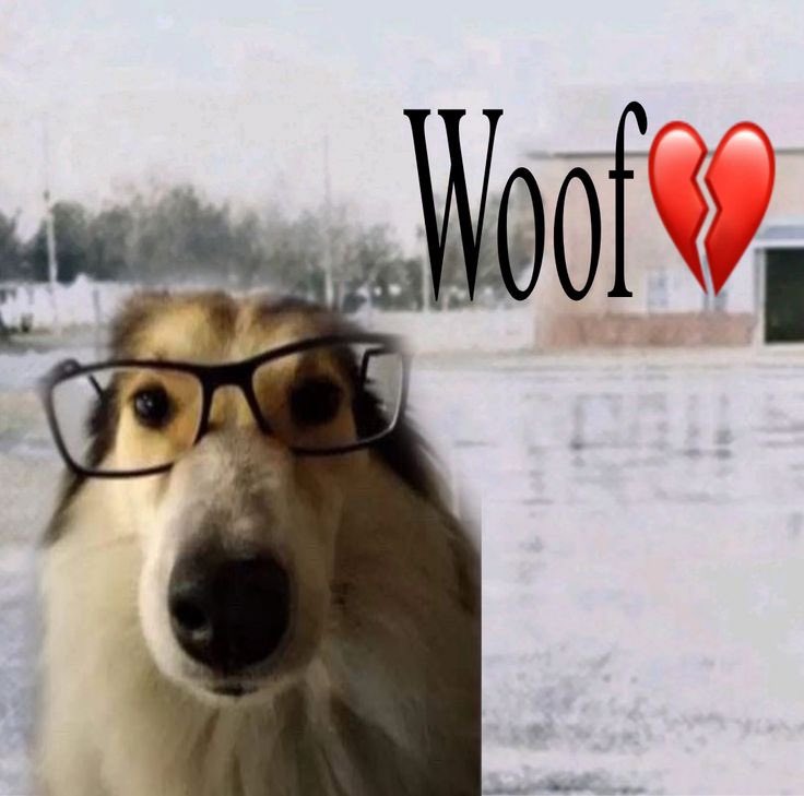 namisook tweet media