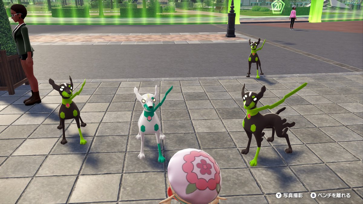 マッタマッタ/・ワ・🌸 tweet media