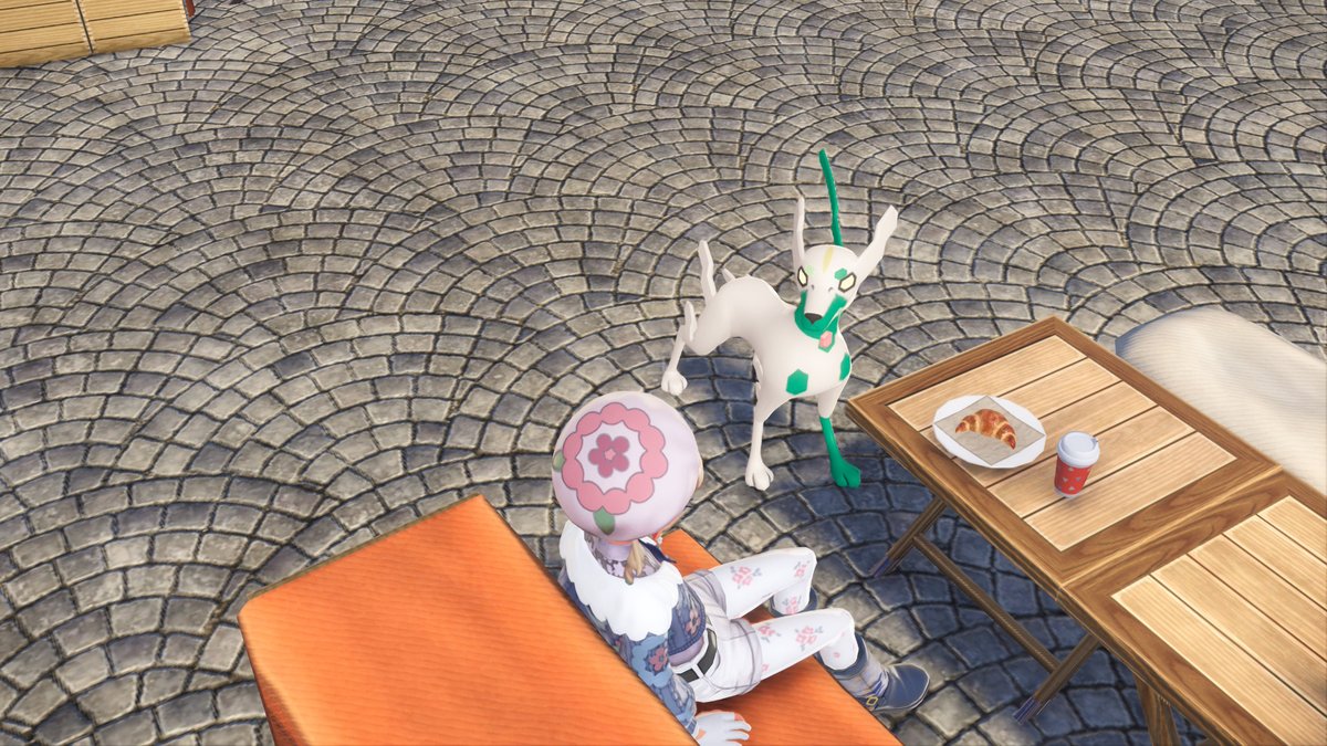 マッタマッタ/・ワ・🌸 tweet media