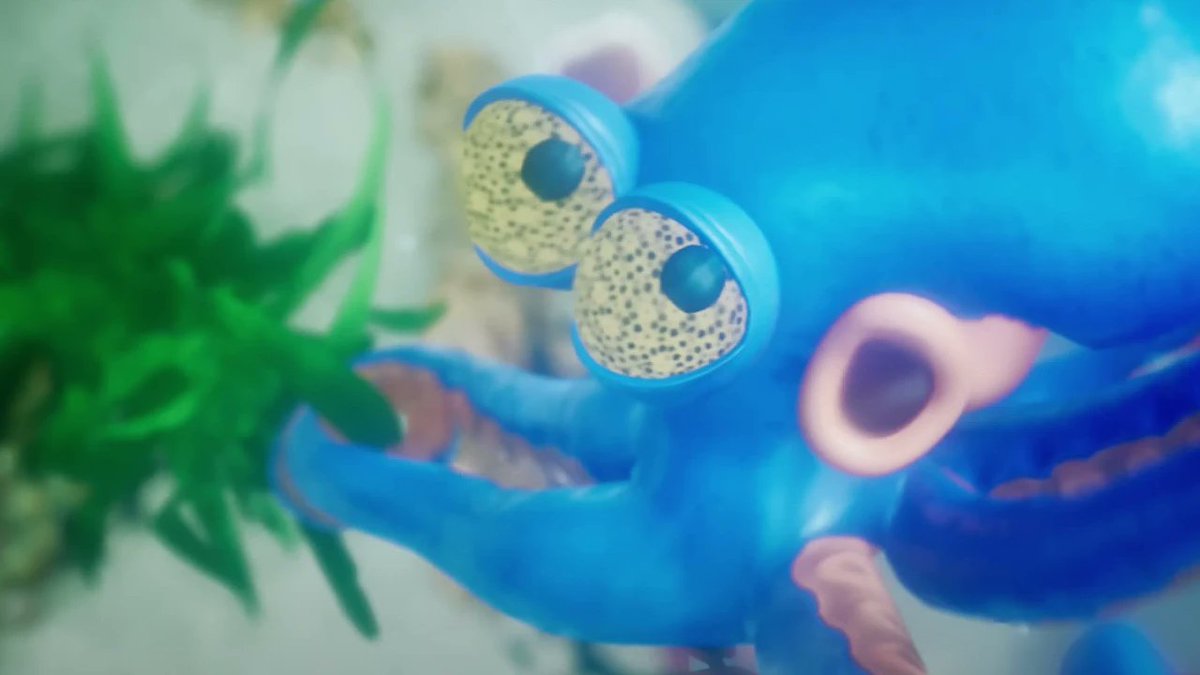 PlayFront tweet media