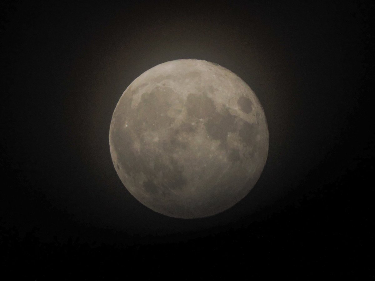 98_64公式#⃣ tweet media