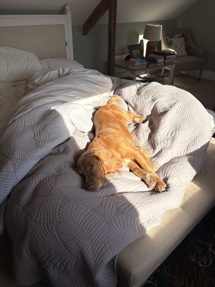 Bella Wallersteiner 🇺🇦 tweet media