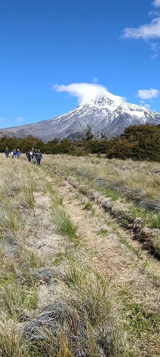 Recorriendo Montañas tweet media