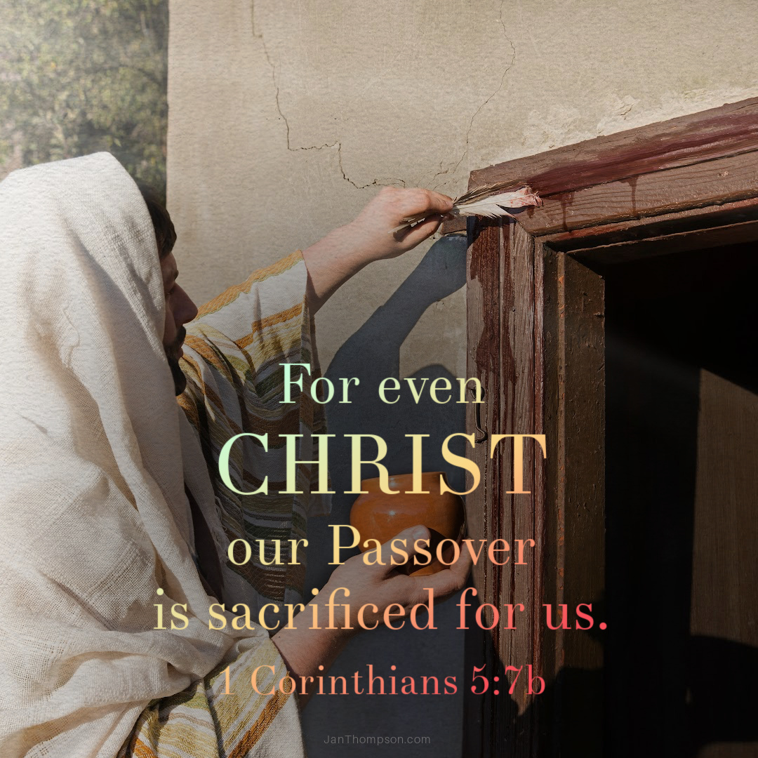 Jan Thompson tweet media