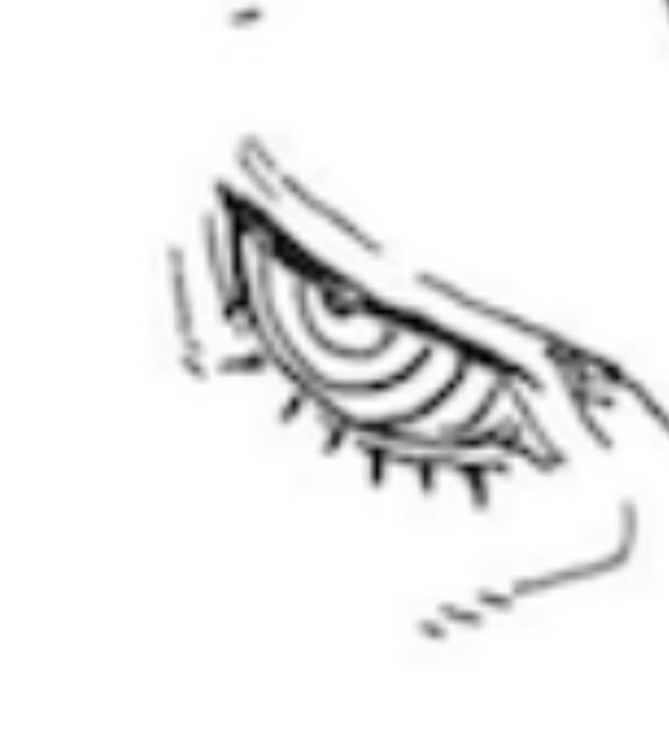 المايسترو tweet media