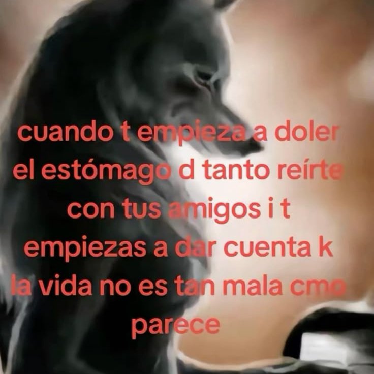 beki ⋆˚꩜｡݁ ˖Ი𐑼⋆ tweet media