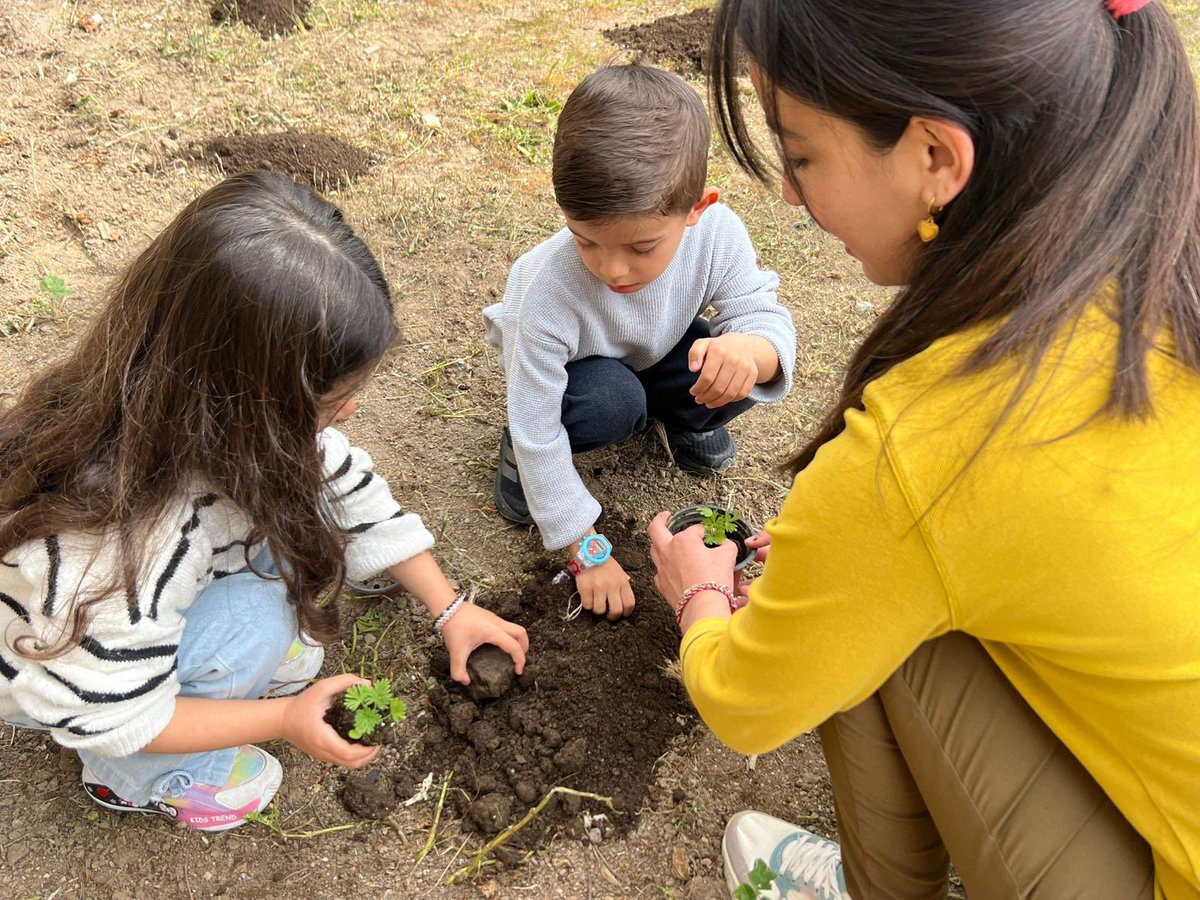 Bodrum Belediyesi tweet media