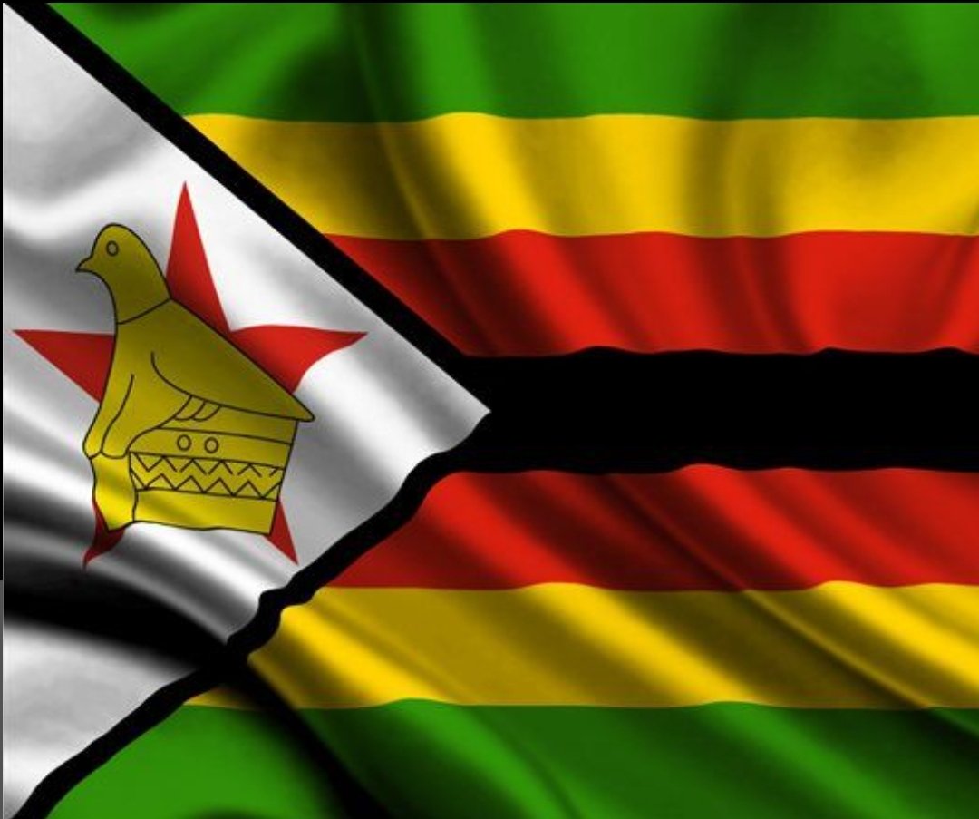 Ndaona vana veZimbabwe vachiita chitsoka ndibereke vakananga kuma neighboring countries mushure mekunge Ed abviswa pachigaro.Kuchaita violence inotyisa zvikuru.Ed achabviswa pachigaro zvekuti 2030 izvo kanganwai henyu.Ndakazvitaura izvi since 2018.nguva yacho yave pedyo