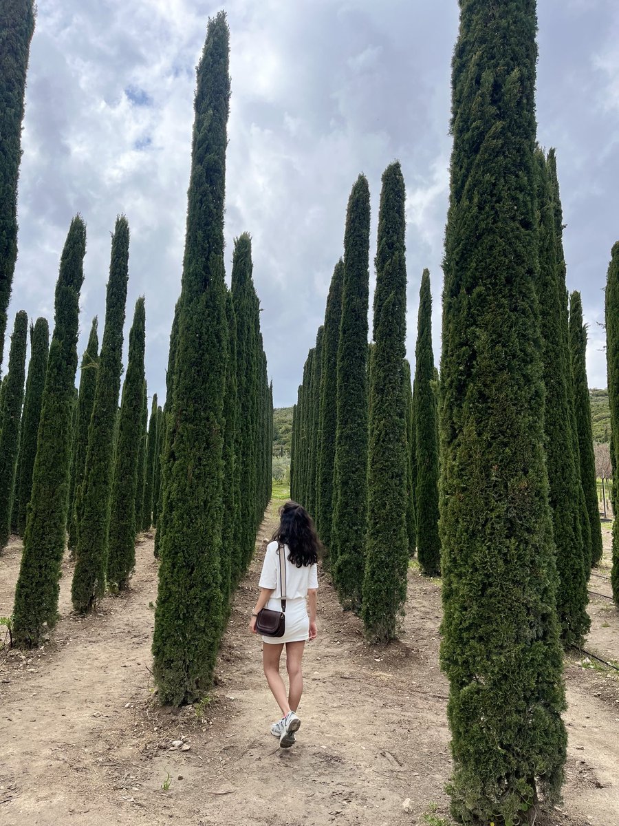 hediye_tabak's tweet photo. 🪷🌸 https://t.co/KzVzw2j6T7