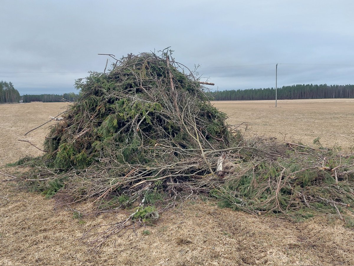 Sinut minä pian poltan, prkl. Odotappa vaan.. #kokko #pääsiäinen