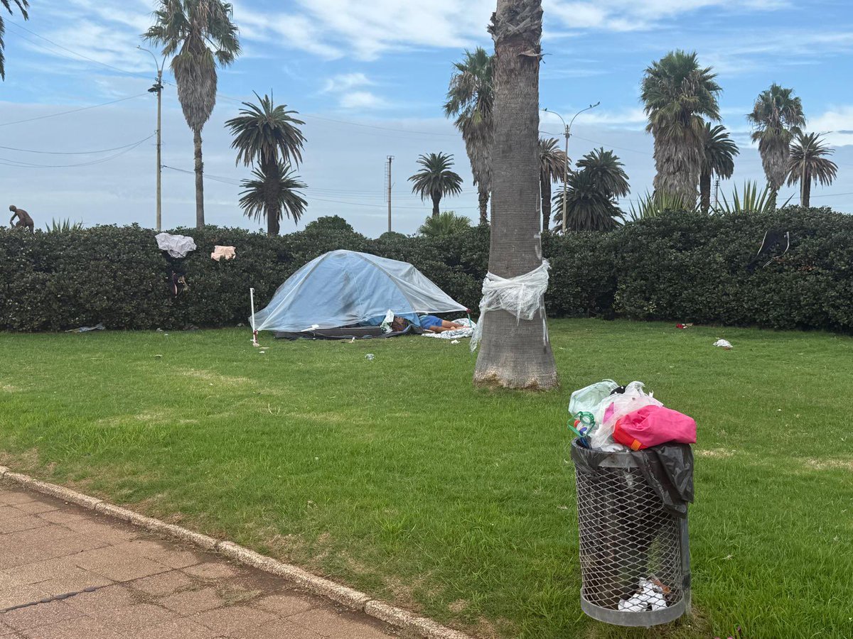 Lic. Tricolor 2 tweet media