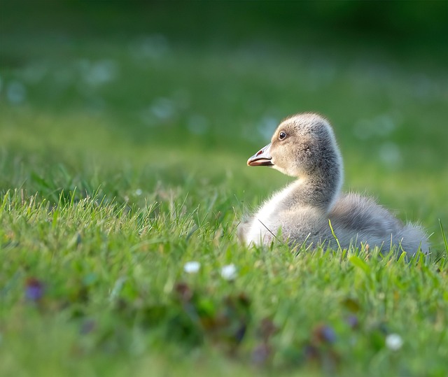 Demian Kumar tweet media