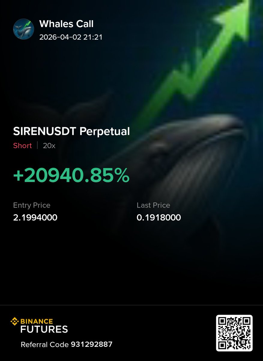 Whales Call 🐋 tweet media