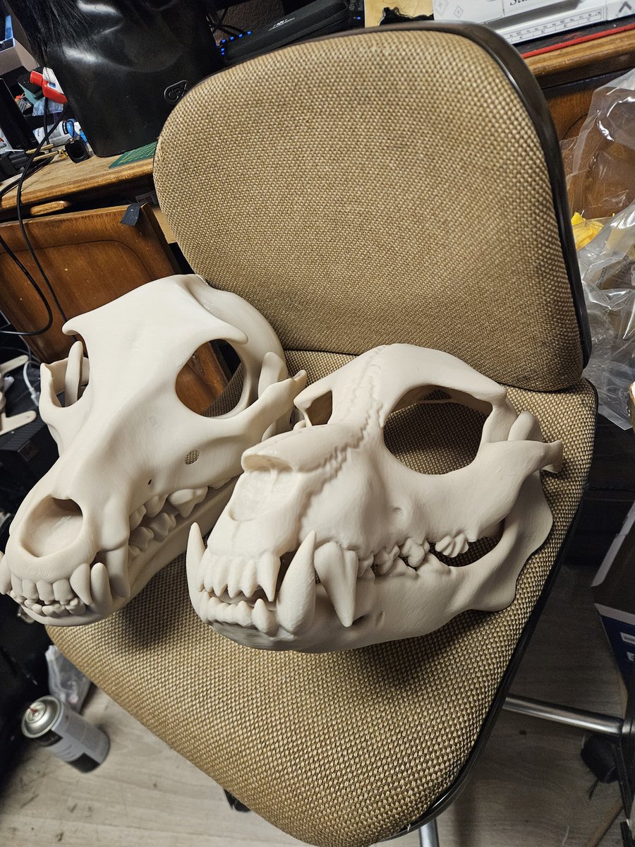 Highwire |fluffy| tweet media