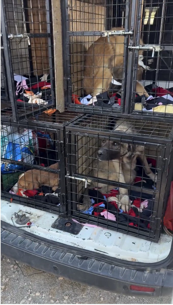 Haydar Özkan tweet media