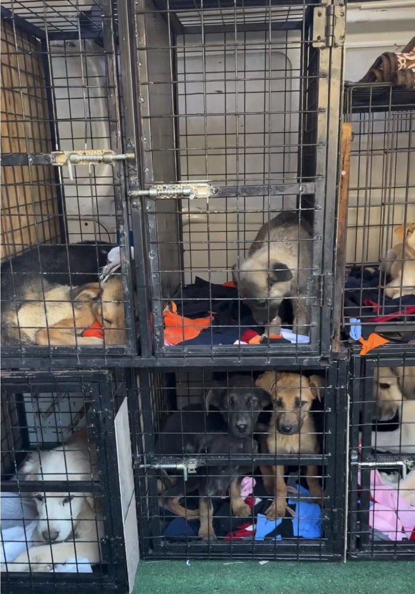 Haydar Özkan tweet media