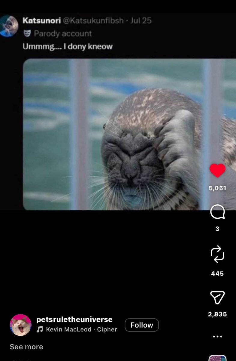 Katsunori 😇🐟🦭 tweet media