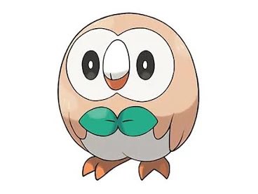 お散歩みかん tweet media