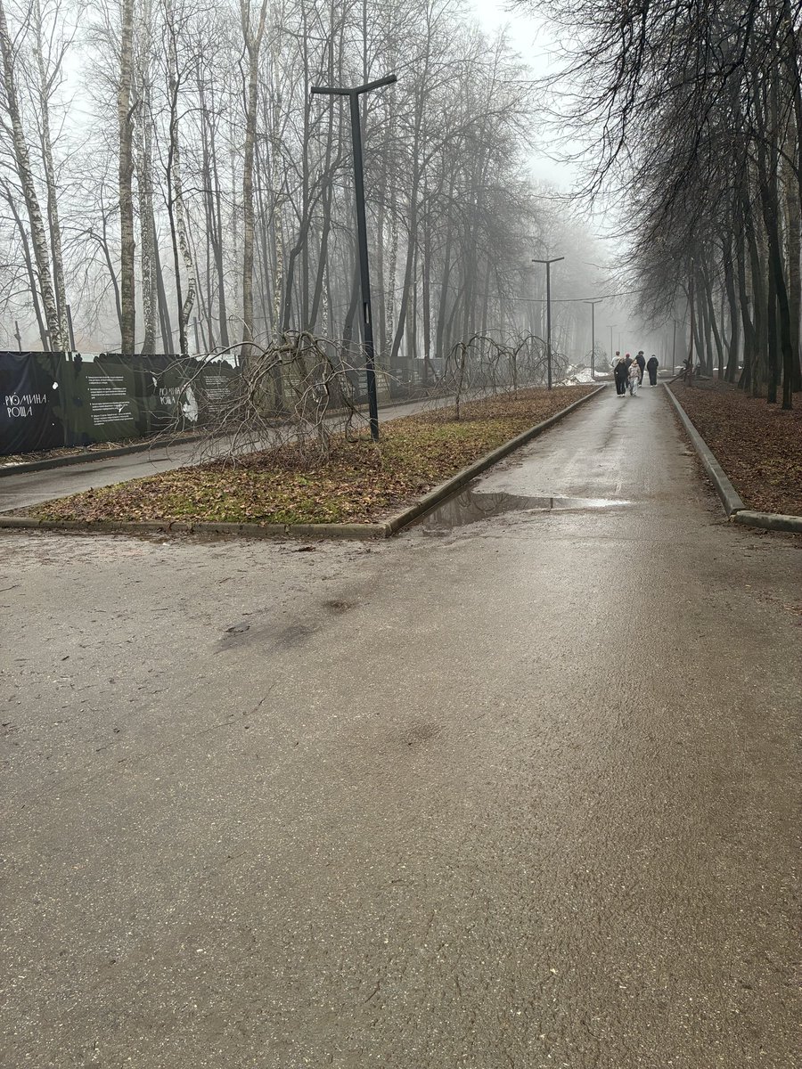  Еле!а Щербакова tweet media