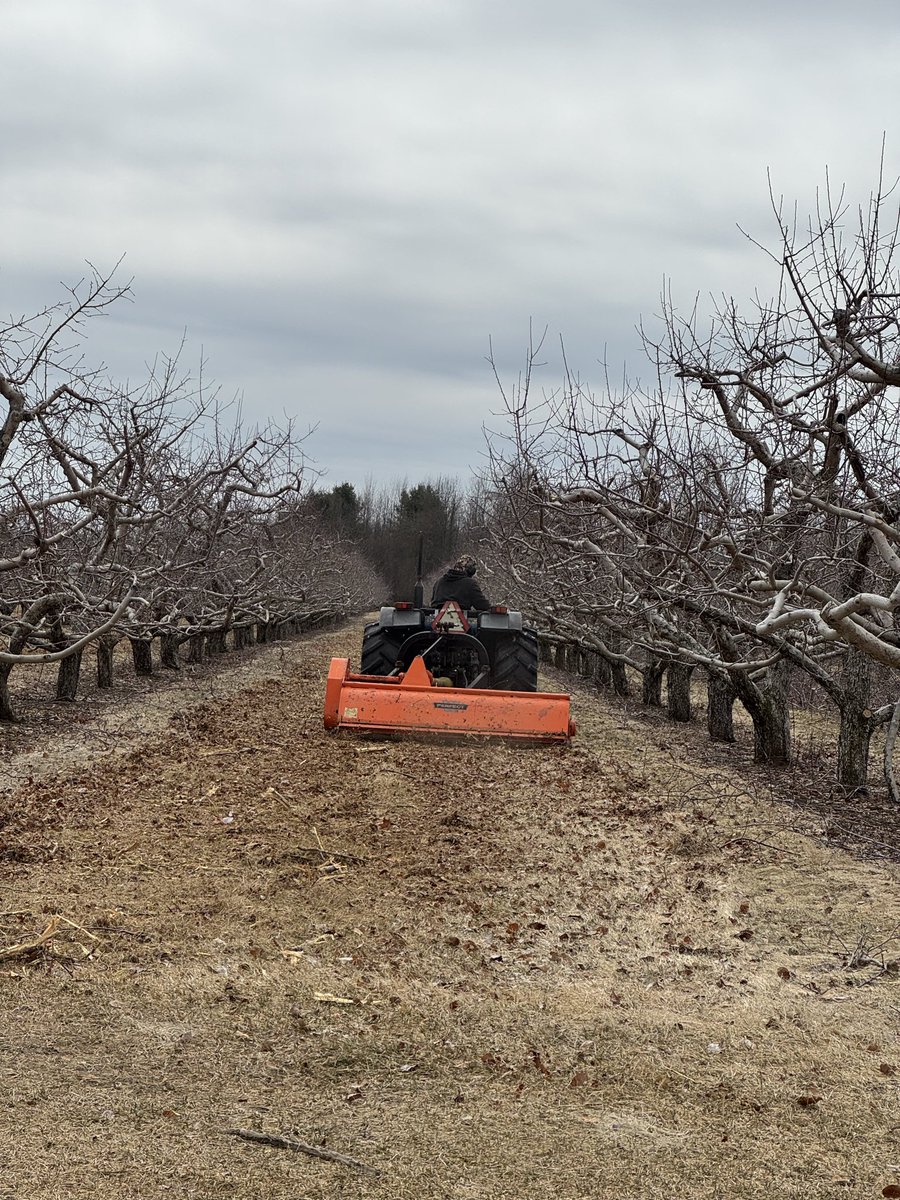 RulfsOrchards's tweet photo. Tis the season . Grinding brush … Apple tree Brush !!! @RulfsOrchard https://t.co/u6SnNVWyqT