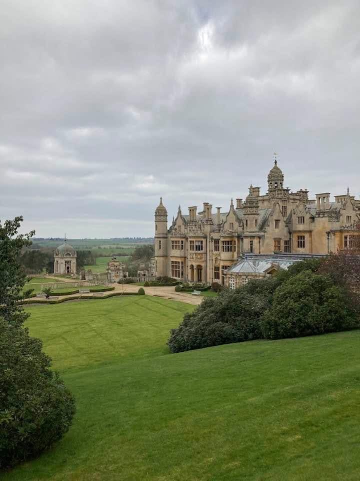 Zara Handley tweet media