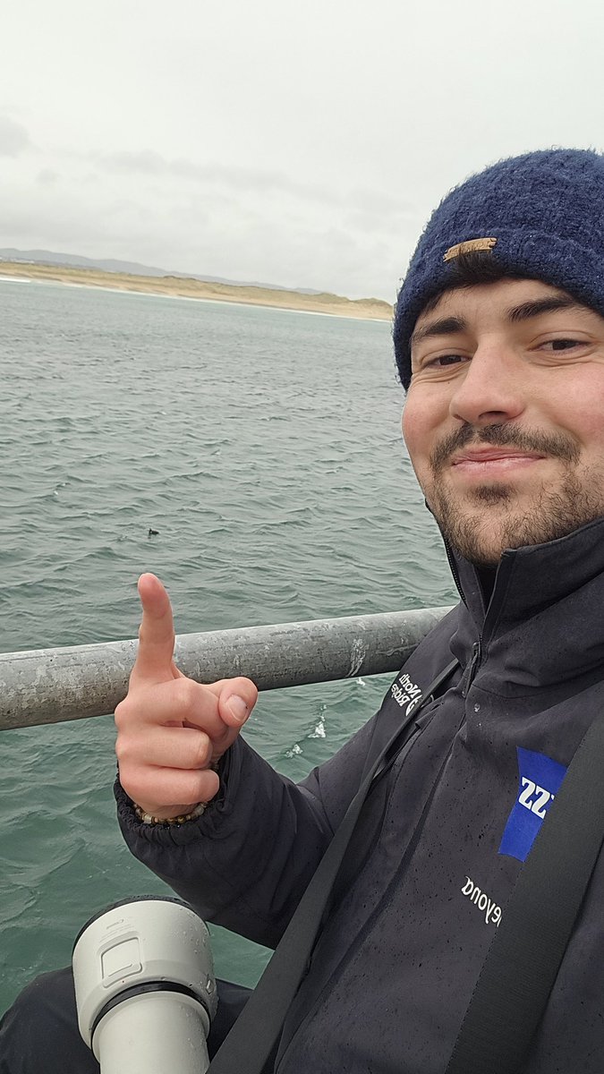 Toby Carter tweet media