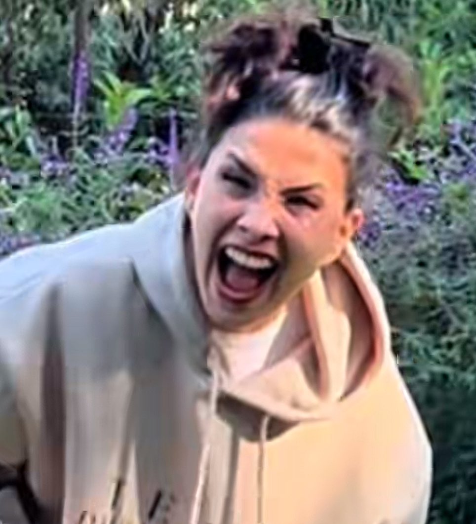 DaliVibes GDL (Las Guajolotas) tweet media