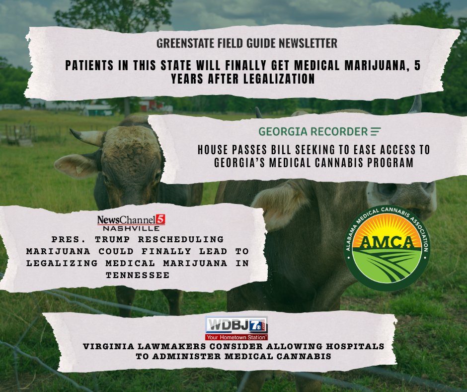 Alabama_MCA's tweet photo. Now more than ever, people across the country are gaining access to medical cannabis.

Stay ahead of the curve by subscribing to the Alabama Cannabis Chronicle today! Link to join is below!

https://t.co/HPOVC6Pi9Z https://t.co/U49Xcdg6uX