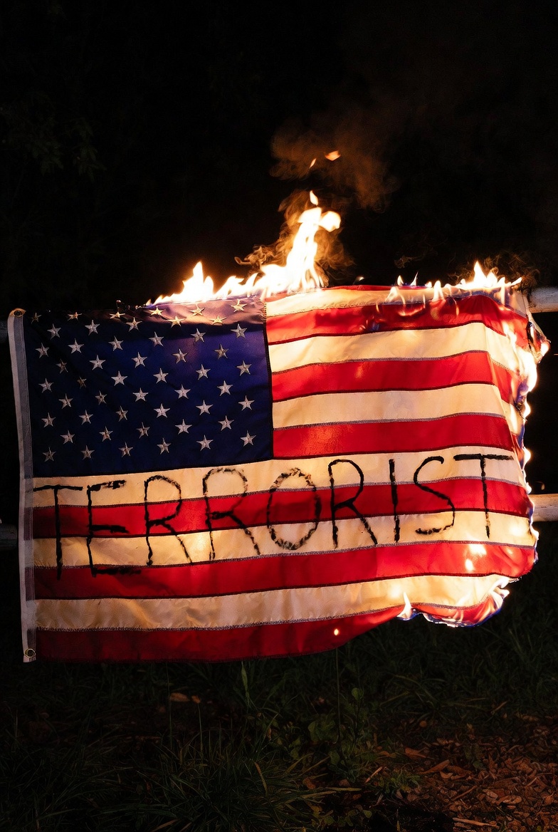 Vidz And Things tweet media