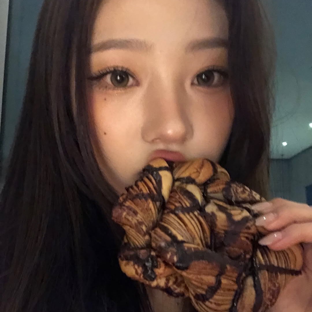 korea visuals tweet media