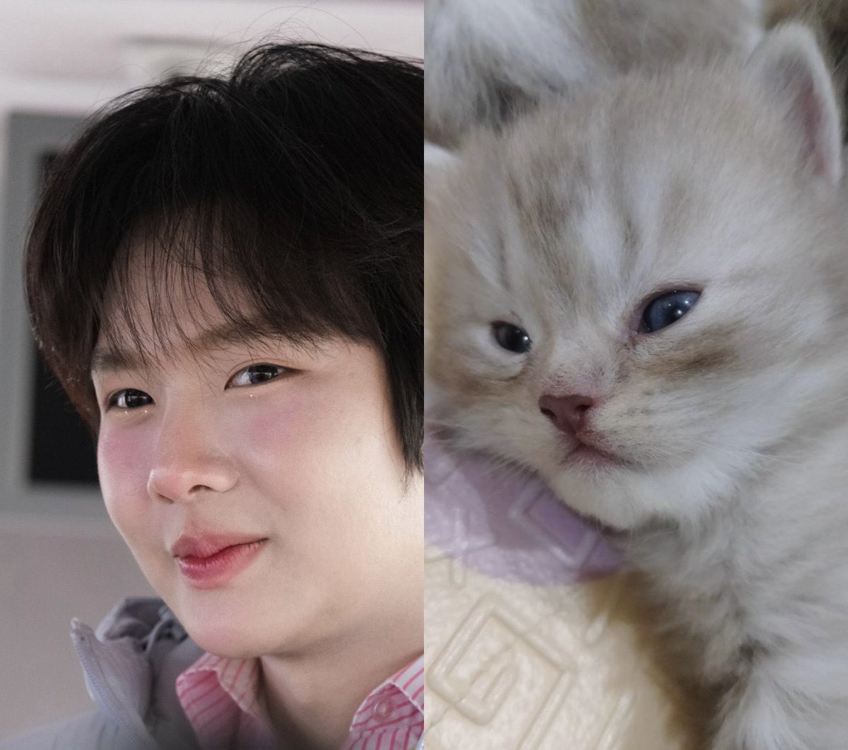 EYE 아이 ✨ ft. BiBi tweet media